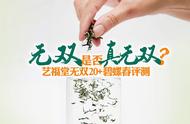 杭州碧螺春2000元一斤，真的值得吗？艺福堂20+特级碧螺春评测