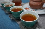 普洱茶与六大茶类的差异：专家解读