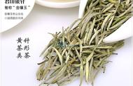 深度解析：中国四大黄芽茶的详细介绍