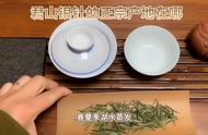 君山银针：品味与鉴赏