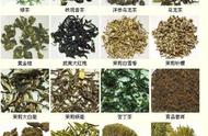 中国茶叶品种大全