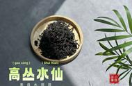 武夷岩茶水仙：醇厚与细幽的完美结合