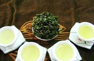 铁观音：中国十大名茶的传奇故事