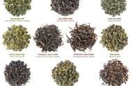 乌龙茶入门：从零开始的茶道学习之旅