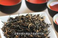 祁门红茶：中国传统的韵味，现代品质的选择