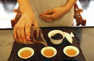 茶叶分类全解析：7大茶系一文掌握，喝茶不再困扰