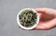 白茶与黑茶，你更偏爱哪一种？