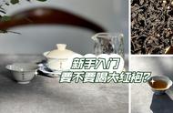 新手入门岩茶：水仙、肉桂、大红袍，哪个更适合？