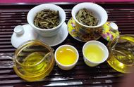 你知道普洱茶春茶和秋茶的区别吗？