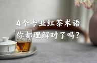掌握红茶术语：金圈、冷后浑、红叶红汤，让你成为茶艺专家