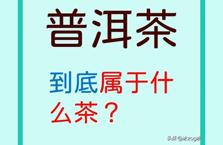 普洱茶：你真的了解它吗？别再混淆了！