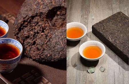 探索普洱茶与茯砖茶风味轮的构建及其应用