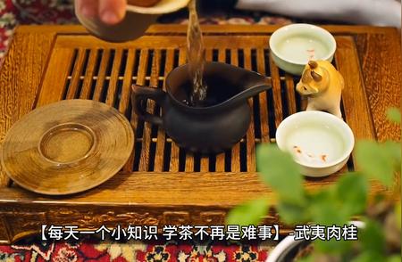 武夷岩茶：每天一点小知识，轻松掌握茶艺