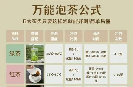 泡茶的终极指南：万能公式，您掌握了吗？🤔