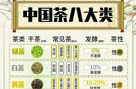 茶叶的分类与六大茶类：新手必看的入门指南！