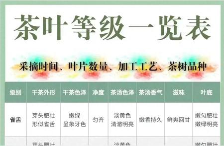 茶叶等级大比拼，看完这篇你也能成为茶叶专家