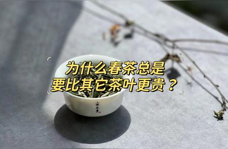 春茶为何如此昂贵？揭秘四季皆可采茶的特别之处