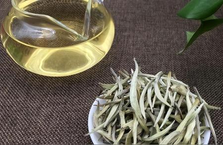 中国茶叶的珍宝：白毫银针