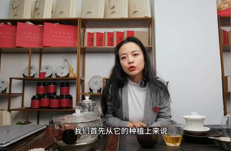 洞庭碧螺春：茶文化的瑰宝