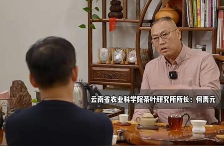 专访云南茶叶科研领军人物何青元：普洱茶的奥秘一网打尽