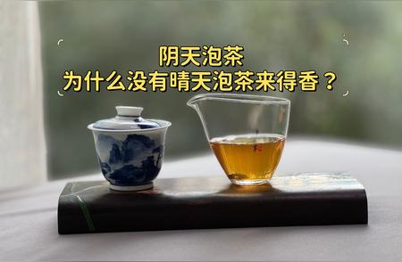 阴天泡茶为何不若晴天泡茶香气四溢？有其独特原因吗？