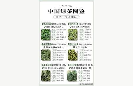中国绿茶大全：一份值得收藏的知识宝典！