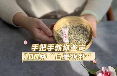 一步步教你识别100种“白毫银针”，黑斑银针背后的秘密是什么？