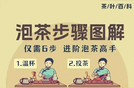 泡茶新手必看：6步教你成为高手，值得收藏！