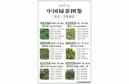 中国绿茶大全：收藏起来，慢慢品味，增长见识！