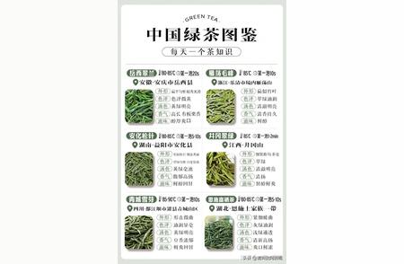 中国绿茶全知道：收藏版知识增长指南
