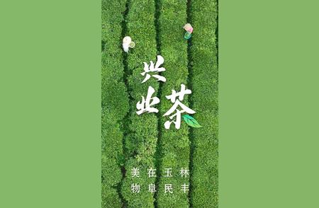 兴业之城：茶香四溢的醉人风光