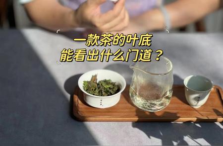 茶叶鉴赏指南：五招教你通过叶底识别绿茶、红茶、白茶和岩茶的品质
