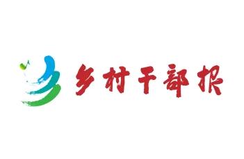 思维与路径：品鉴碧螺春，四季的茶香旅程