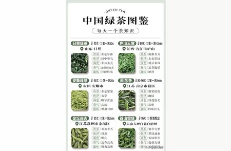 绿茶百科：全面了解品种、产地和品鉴要点