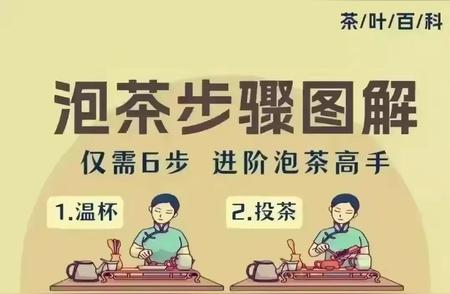 掌握六大技巧，变身茶艺大师