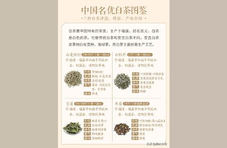 探索白茶世界：品种、来源及其独特风味