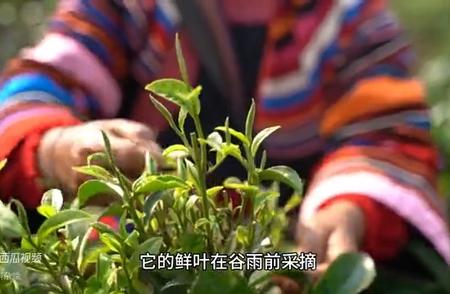 径山茶：品鉴高档绿茶的绝佳选择