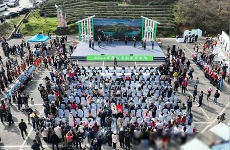 春日启幕，“都匀毛尖”2024年新茶季盛大开启！