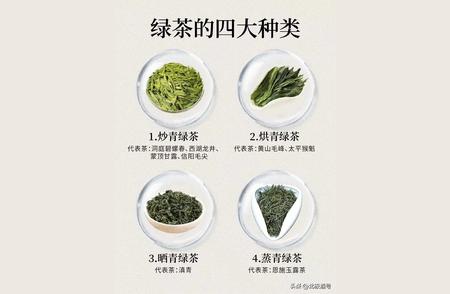 探索绿茶的四大系列