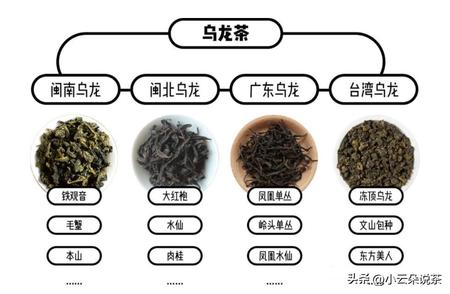 探索中国茶文化：深入了解四大乌龙茶家族