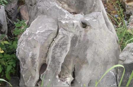 武汉奇石园：光谷小区的太湖石装饰艺术