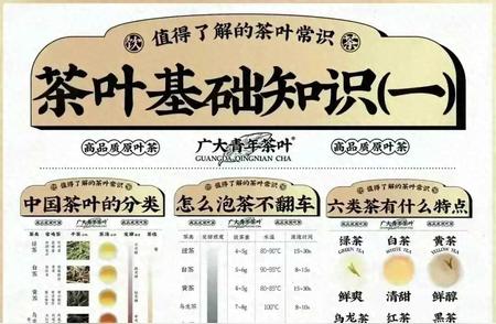 茶叶知识大全，提升你的知识库