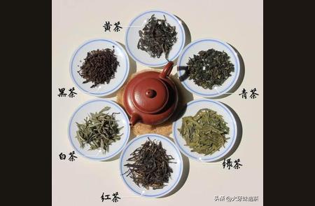探究白茶的独特魅力：与绿茶有何不同？