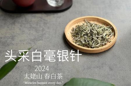 2024年首批白毫银针：尝鲜体验的嫩滑之选