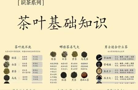 茶叶知识大全：一篇文章掌握所有基础