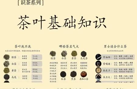 茶叶入门：一篇掌握所有基础知识