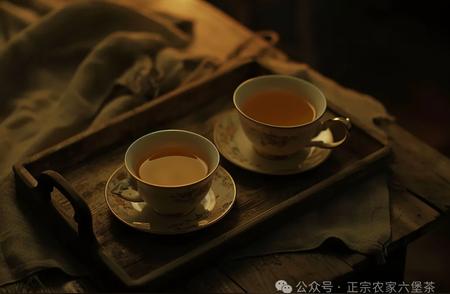 六堡茶收藏家真的懂茶吗？揭秘藏茶与品茶的区别