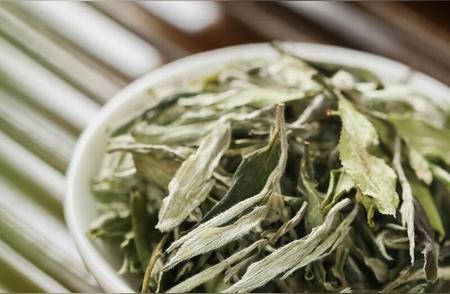 探索白茶的陈化魅力：真的年份越久味道越佳吗？