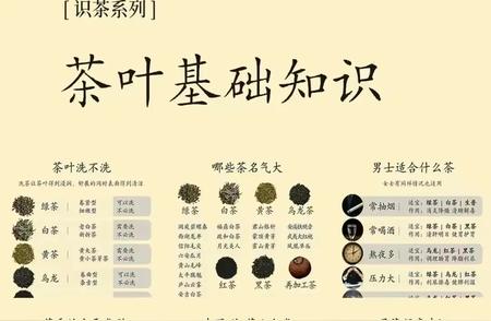 茶叶入门：掌握这篇终极指南