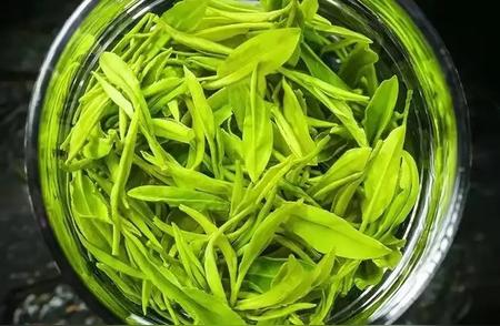 中国绿茶之冠：紫阳县富硒茶的独特魅力
